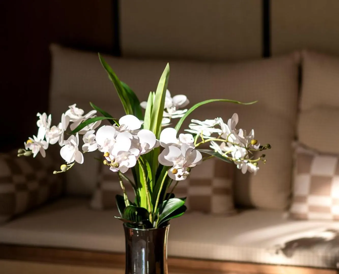 Choasis Hotel-ルアンパバーン